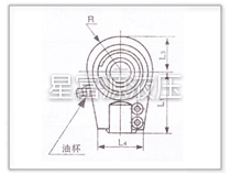 C25、D25系列高壓重型液壓缸